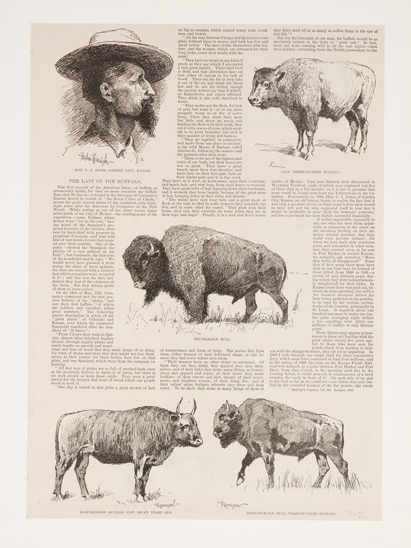 Frederic Remington - 6 drawings of American buffalo and portrait of Ho.N.C.J. Jones, Garden City, Kansas