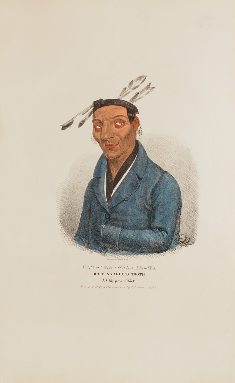 James Otto Lewis - CAW-TAA-WAA-BE-TA or the Snagle’d Tooth; A Chippewa Chief