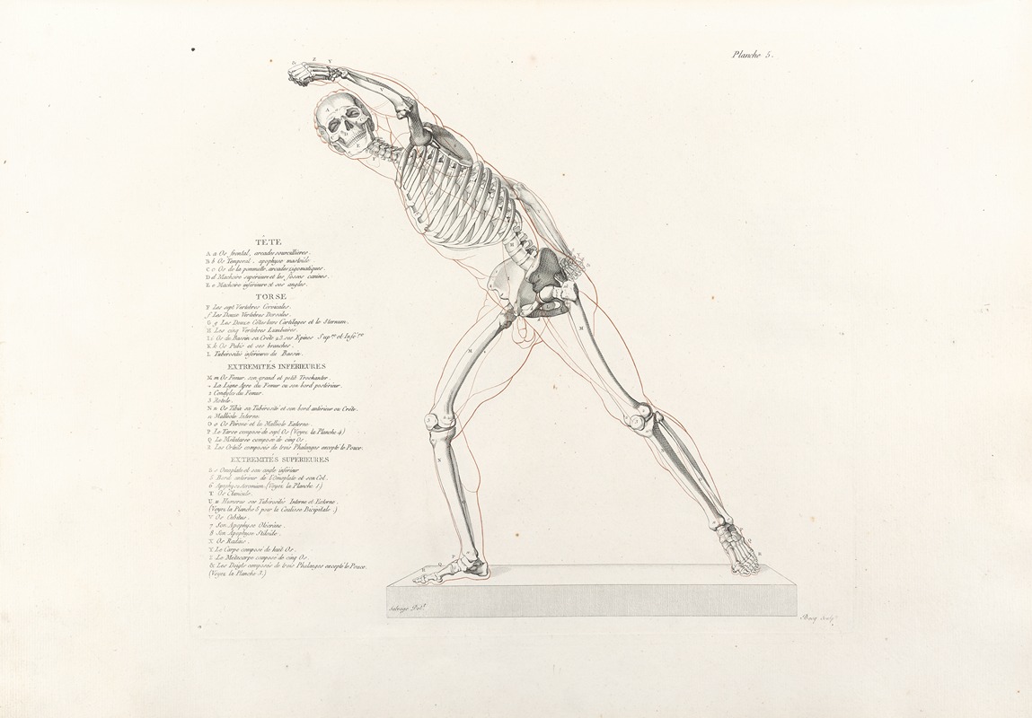 Jean-Galbert Salvage - Anatomie du gladiateur combattant Pl.06