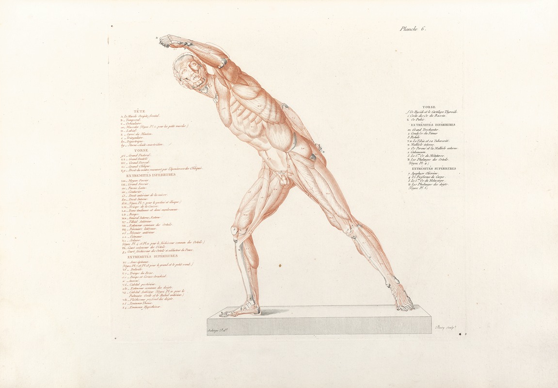 Jean-Galbert Salvage - Anatomie du gladiateur combattant Pl.07