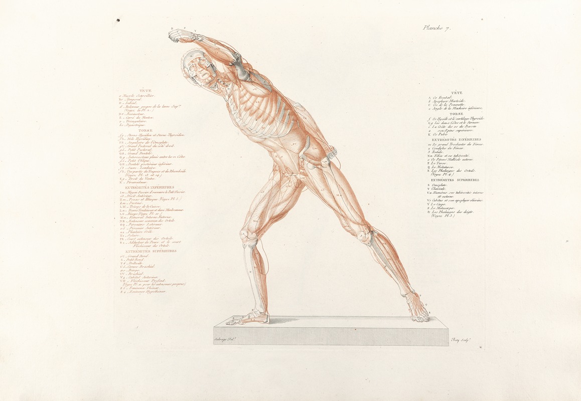 Jean-Galbert Salvage - Anatomie du gladiateur combattant Pl.08
