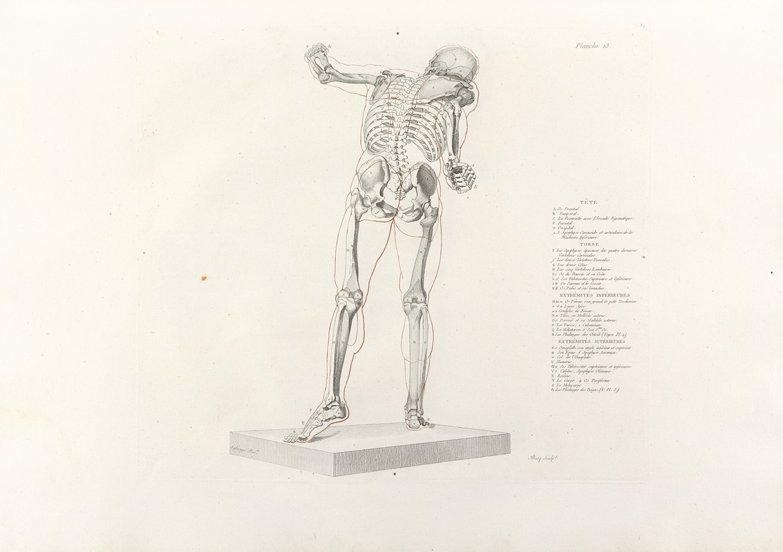 Jean-Galbert Salvage - Anatomie du gladiateur combattant Pl.14