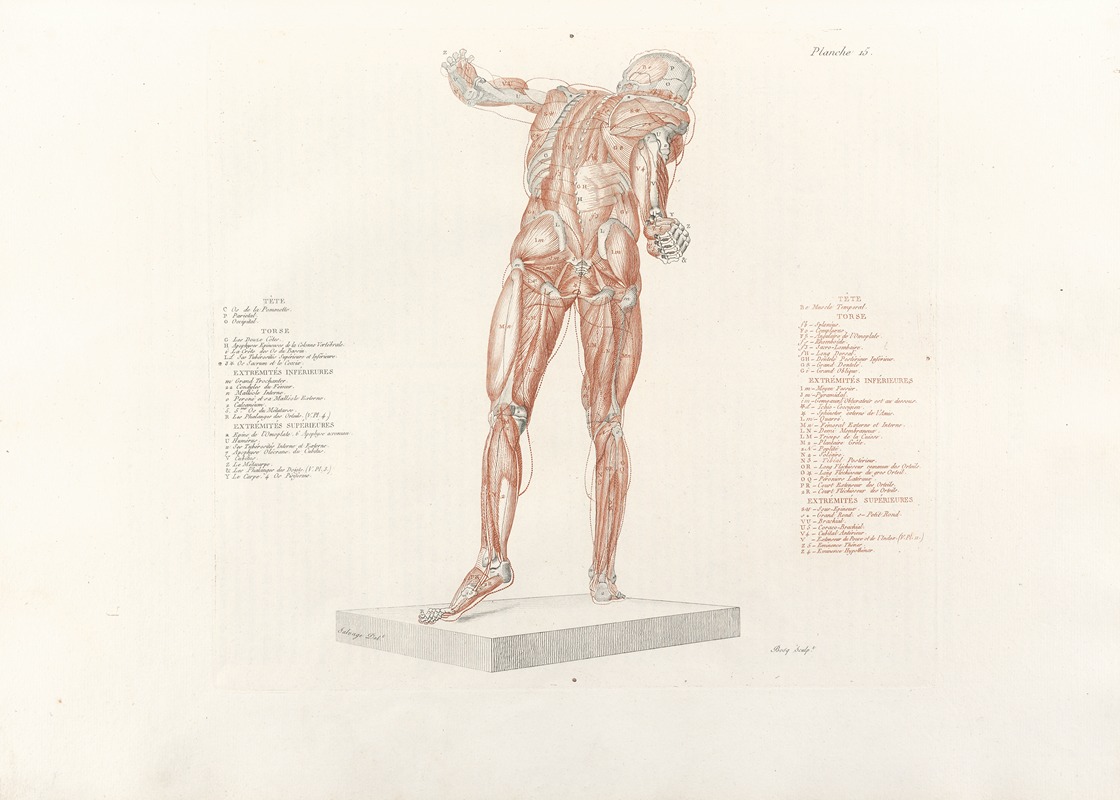 Jean-Galbert Salvage - Anatomie du gladiateur combattant Pl.16