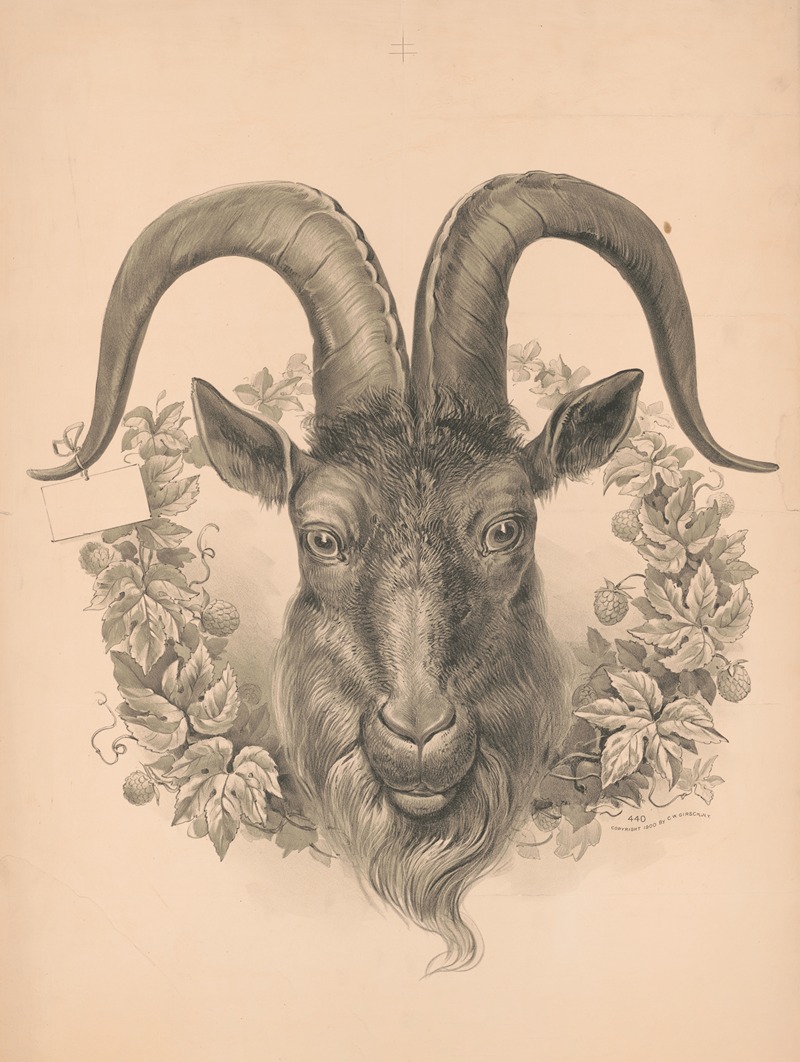 C. W. Girsch - Head of goat