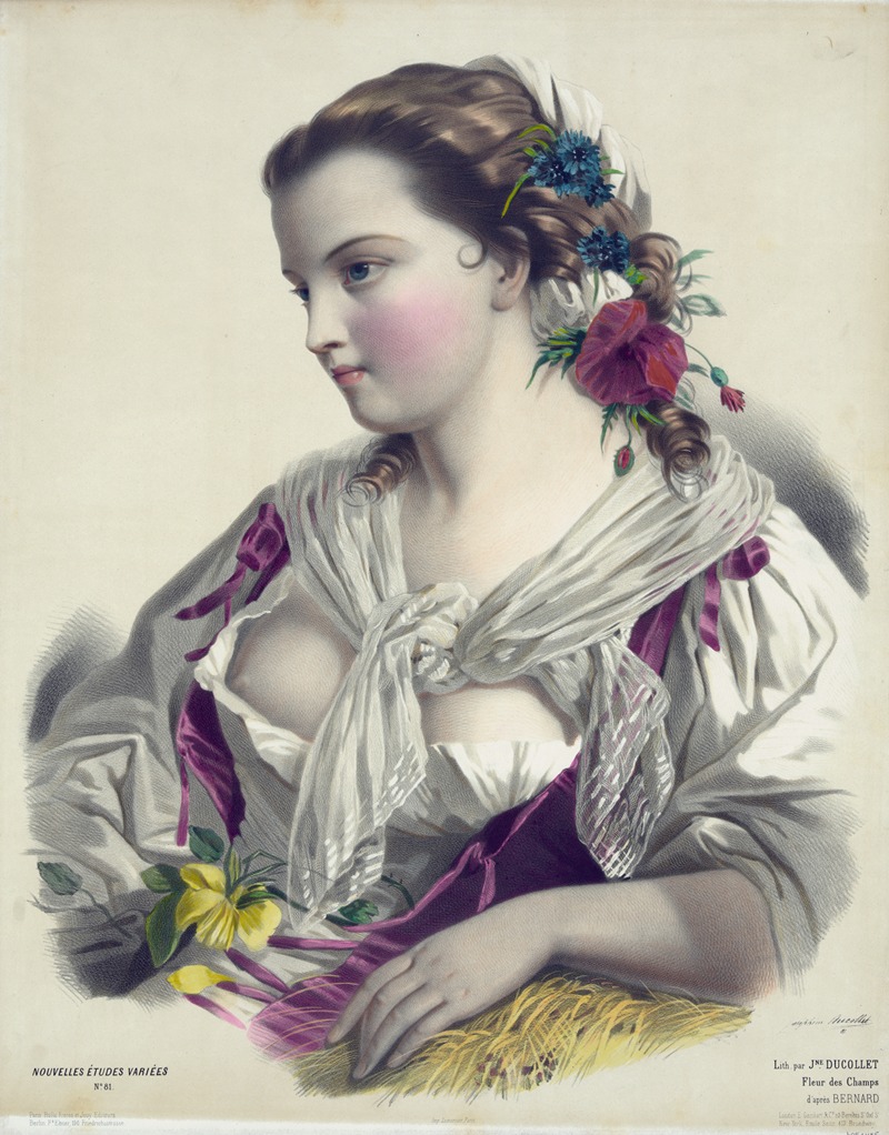 Joséphine Ducollet - Fleur des champs