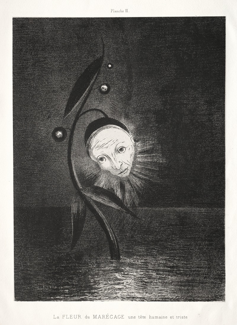 Odilon Redon - The Marsh Flower, a Sad Human Head