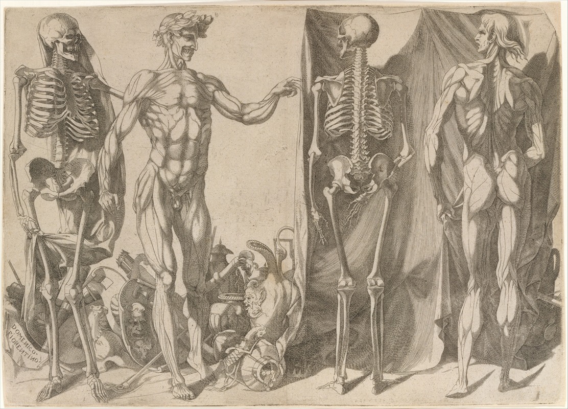 Domenico del Barbiere - Two Flayed Men and Their Skeletons