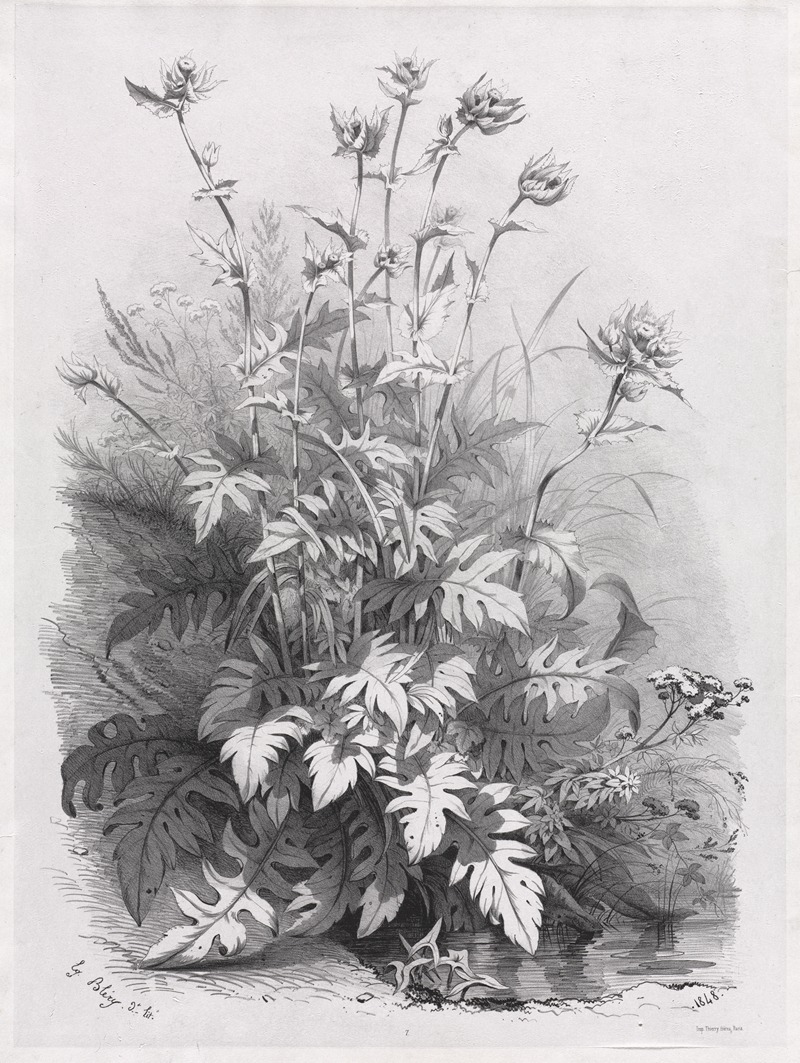 Eugene Blery - Groups of Various Plants Drawn After Nature; No. 7