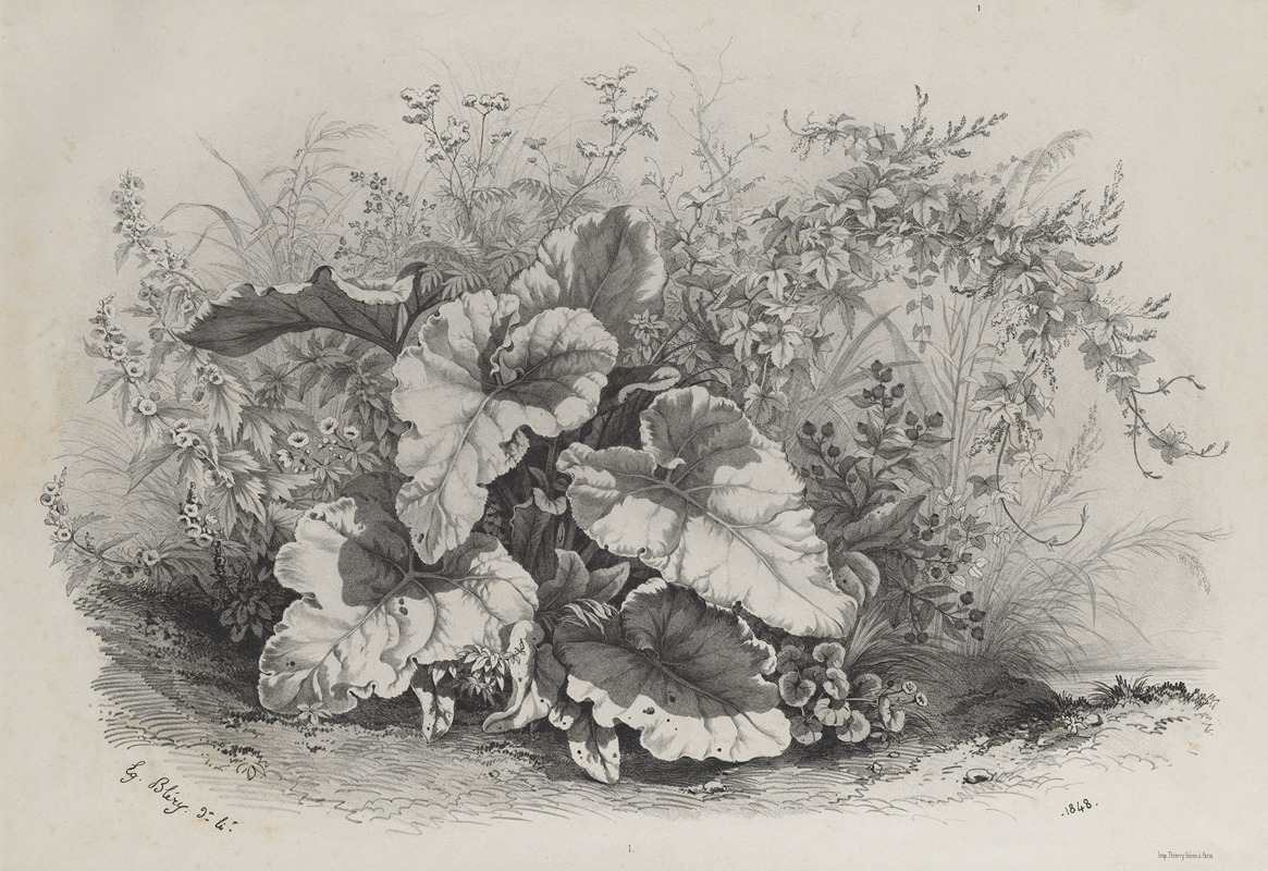 Eugene Blery - Plant Study from Group of Various Plants Drawn and Lithographed after Nature