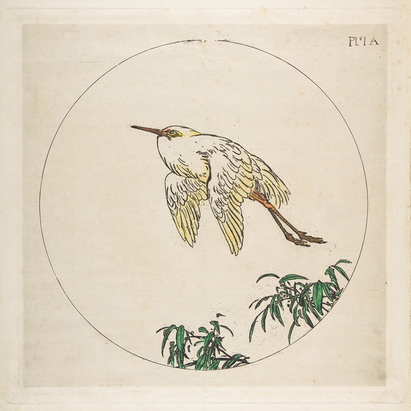 Félix Bracquemond - An Egret Flying Above Bamboo Branches