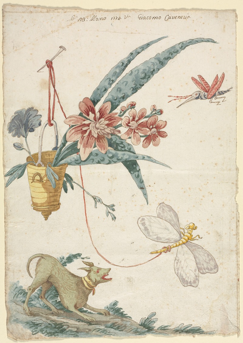 Giacomo Cavenezia - Floral Design with Dog and Insects