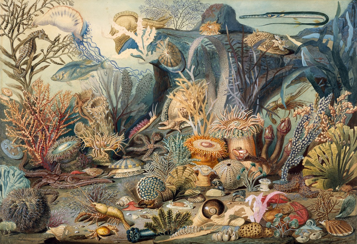 James M. Sommerville - Ocean Life