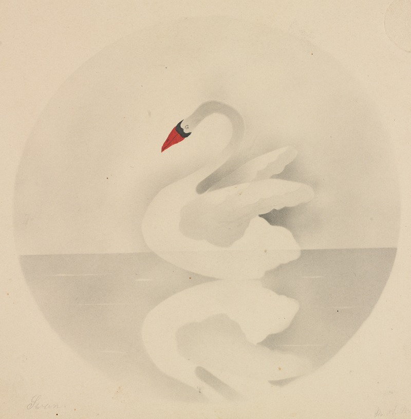 Mary Altha Nims - Swan