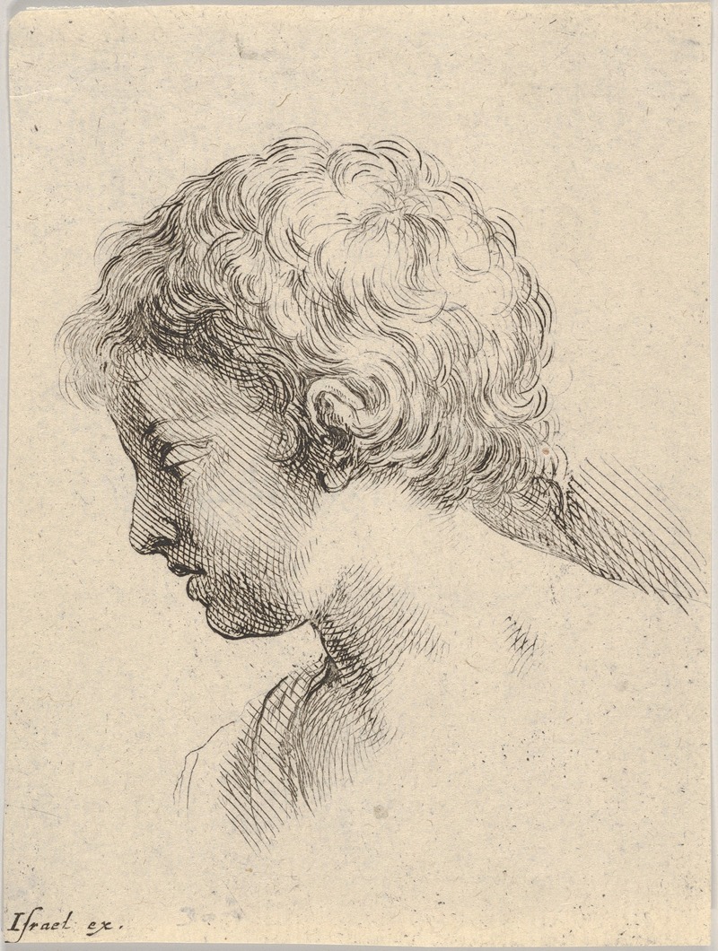 Stefano Della Bella - Plate 13; head of a young boy, in profile