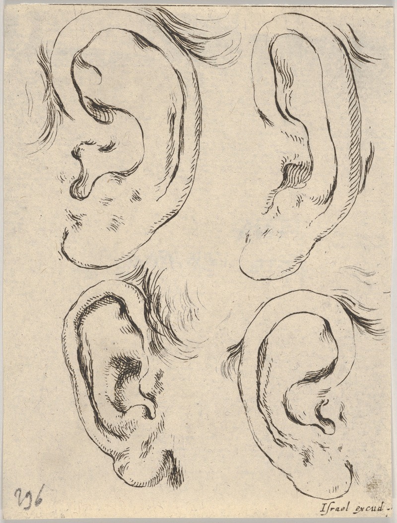 Stefano Della Bella - Plate 5; four ears.