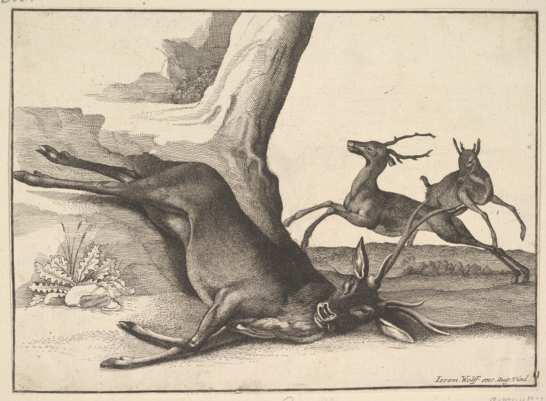 Wenceslaus Hollar - A dead stag