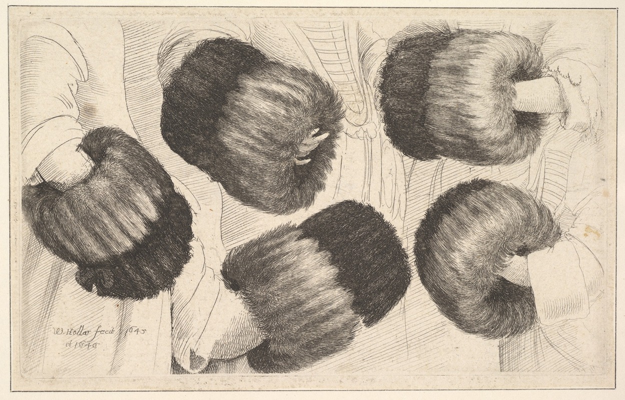 Wenceslaus Hollar - A Muff in Five Views