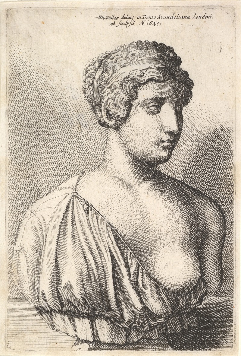 Wenceslaus Hollar - Antique bust of a woman