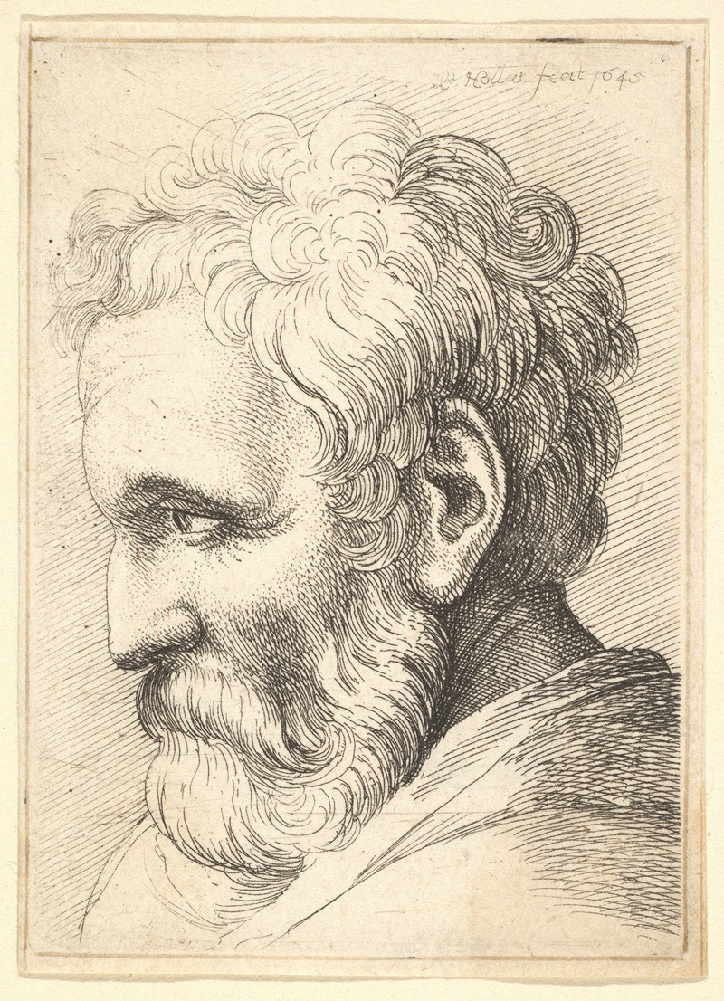 Wenceslaus Hollar - Bearded old man