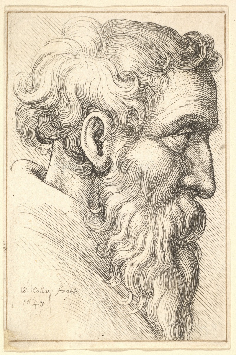 Wenceslaus Hollar - Bearded old man in profile to right