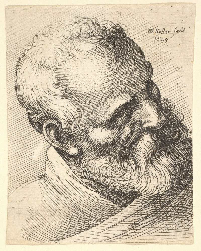 Wenceslaus Hollar - Bearded old man with a tilted head