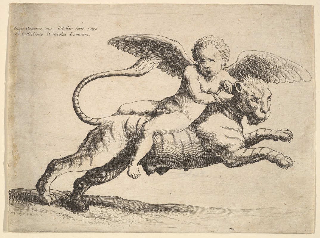 Wenceslaus Hollar - Cupid on a tiger