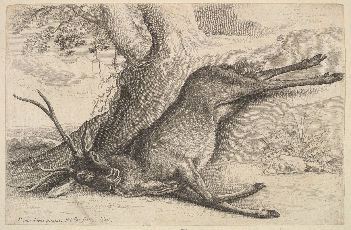 Wenceslaus Hollar - Dead stag