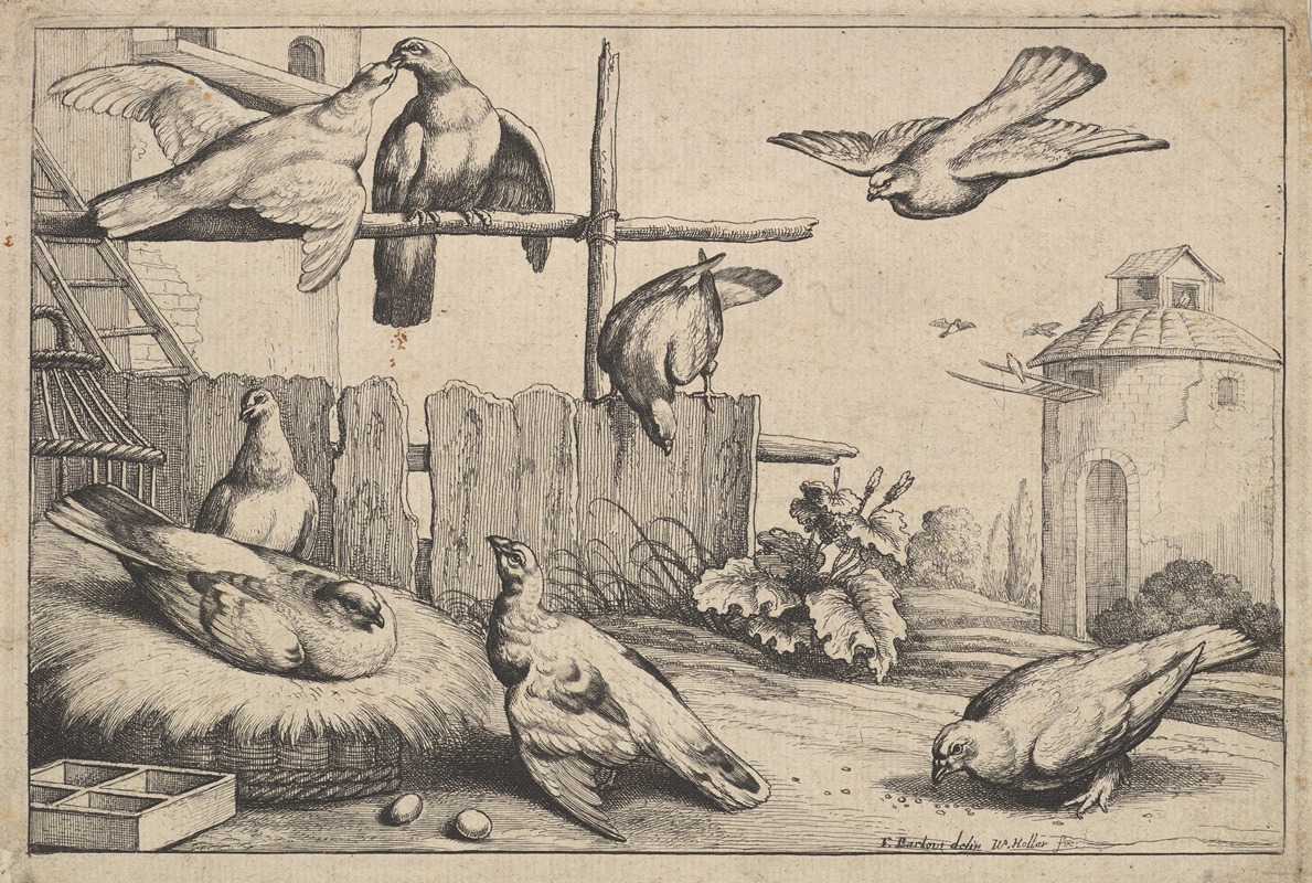 Wenceslaus Hollar - Eight Pigeons (or Doves) in a Farmyard near a Coup, a Dovecote in the Background