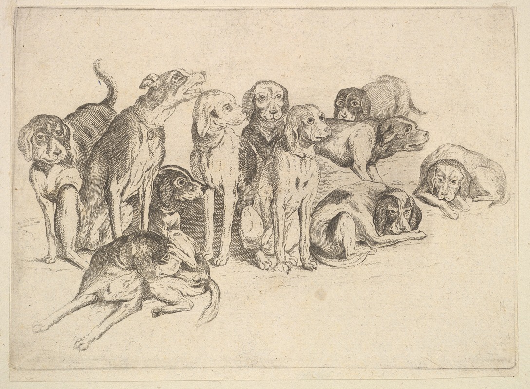 Wenceslaus Hollar - Eleven Hounds