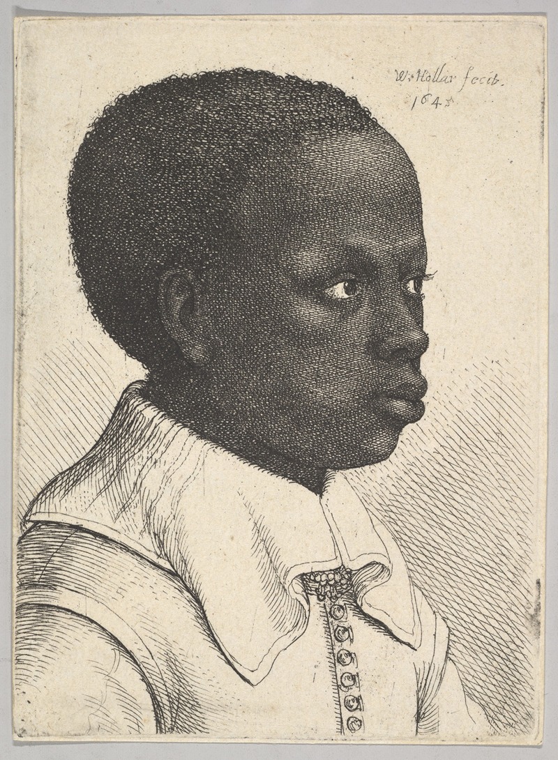 Wenceslaus Hollar - Head of a Young Black Boy in Profile to the Right