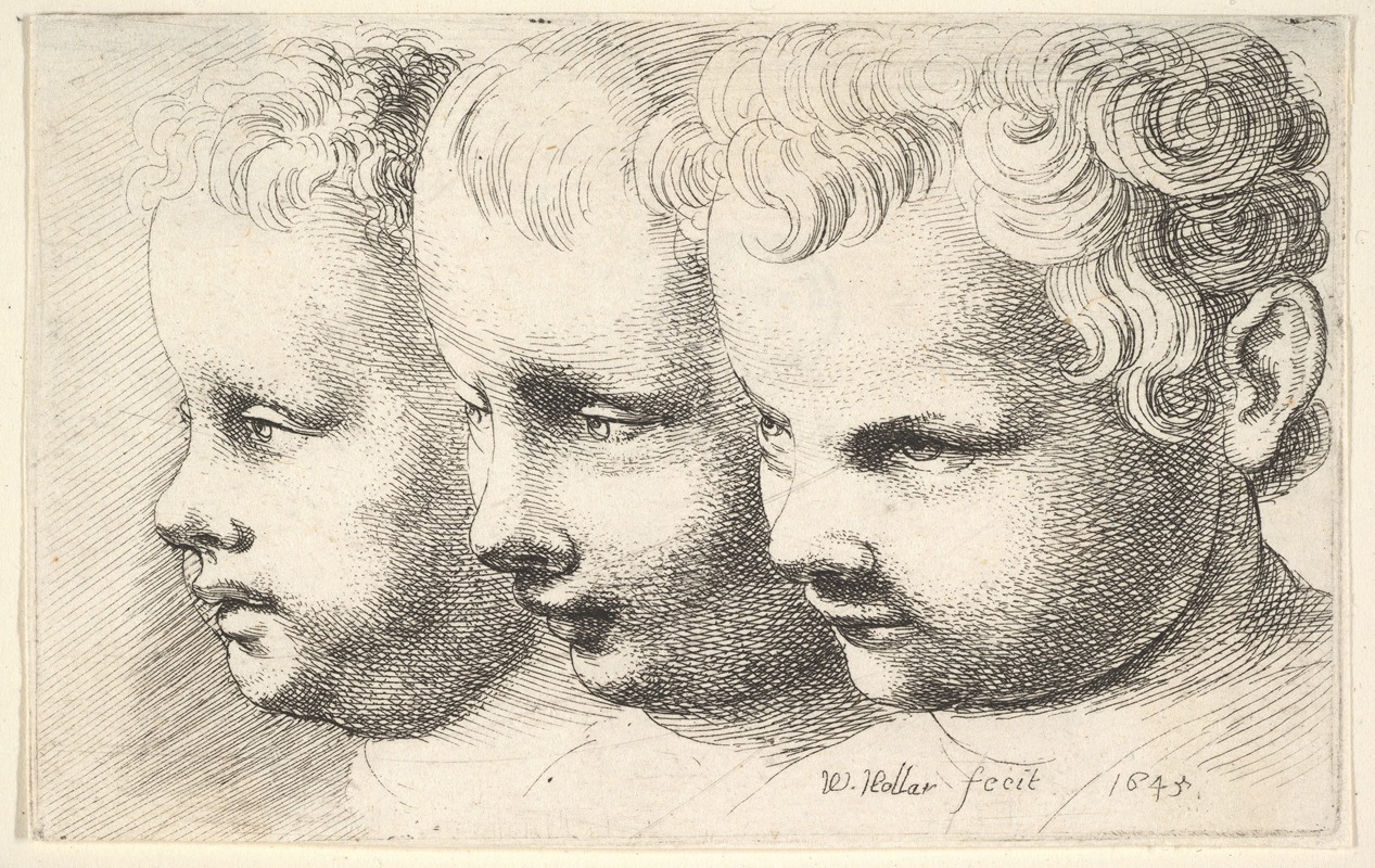 Wenceslaus Hollar - Three children’s heads