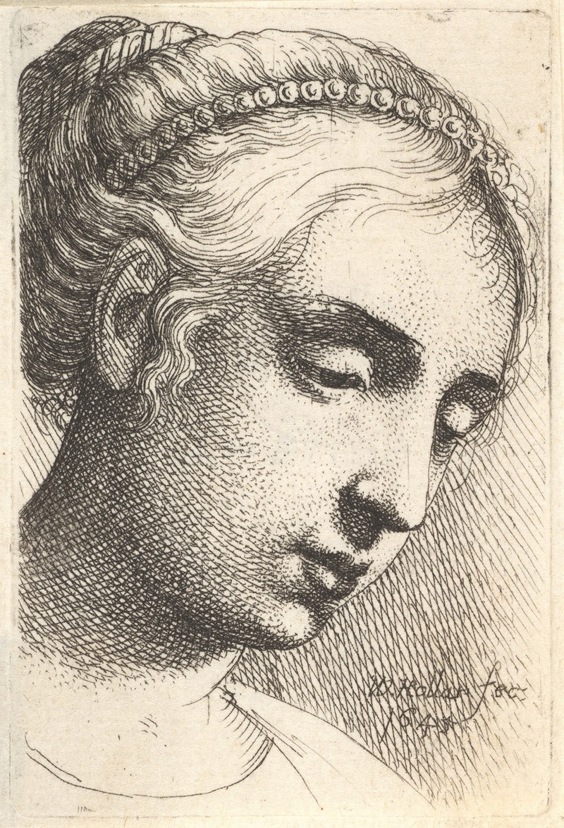 Wenceslaus Hollar - Woman with string of pearls in her hair looking downwards to right