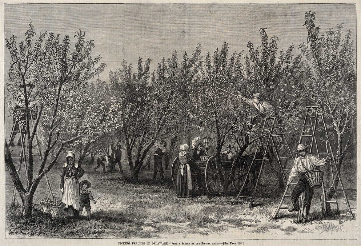 Winslow Homer - Picking Peaches in Delaware