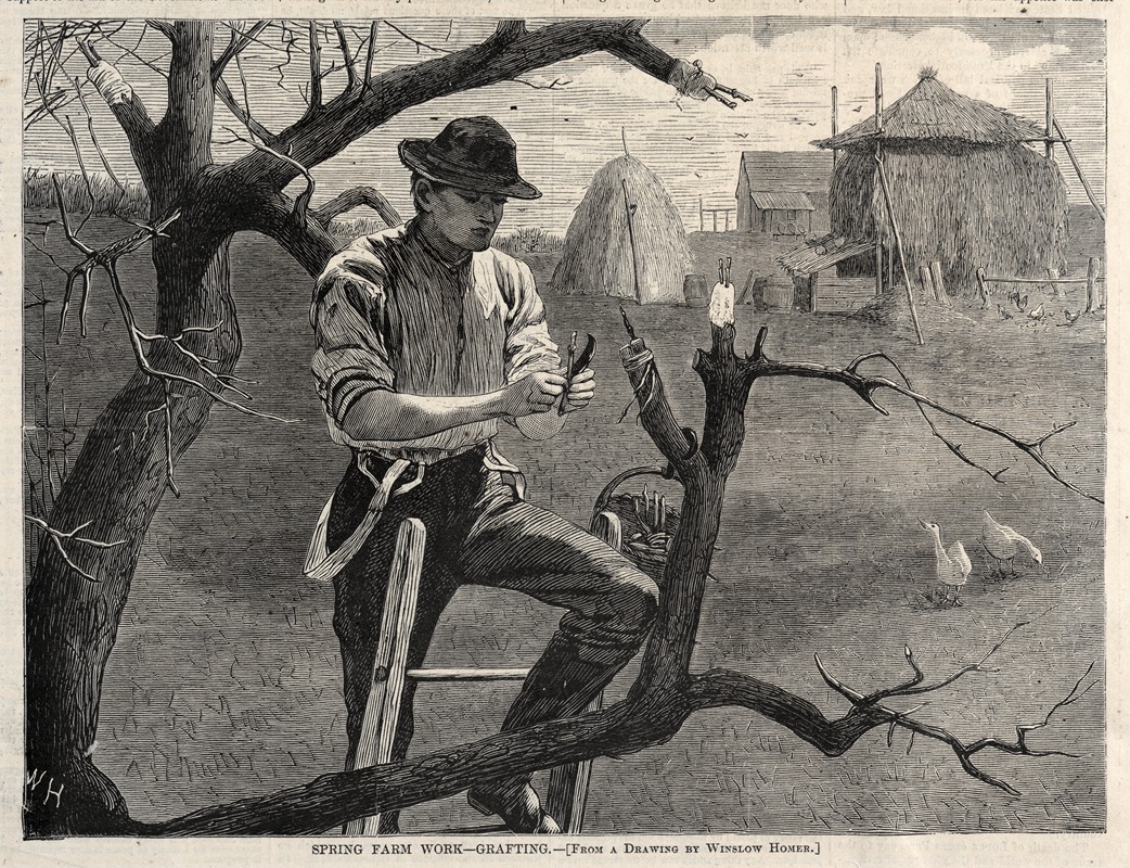 Winslow Homer - Spring Farm Work – Grafting