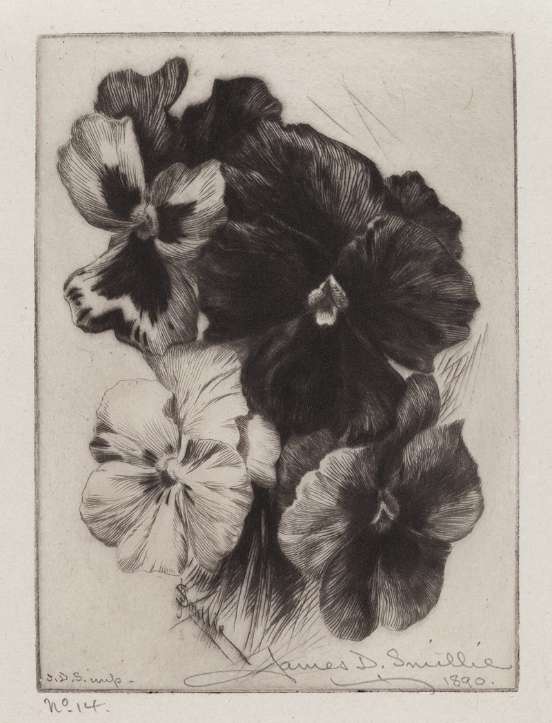 James David Smillie - A Bunch of Pansies