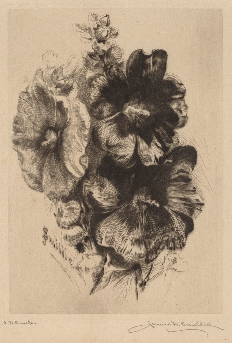 James David Smillie - Dark Single Hollyhocks