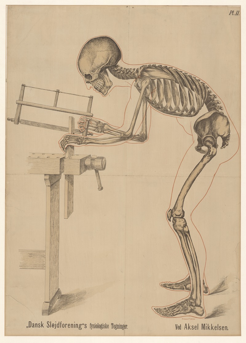 Anonymous - Danish Sloyd Association’s physiological drawings – Table 2