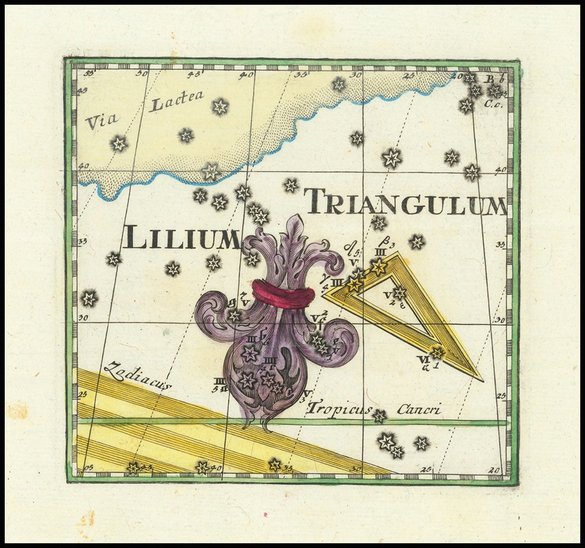 Corbinian Thomas - Lilium, Triangulum