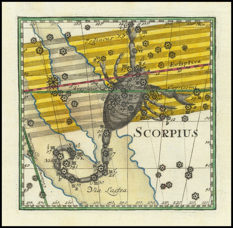 Corbinian Thomas - Scorpius