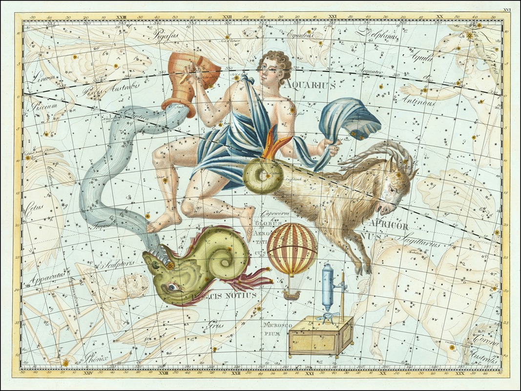 Johann Elert Bode - 16.XVI. Capricornus… Coelum Stellatum