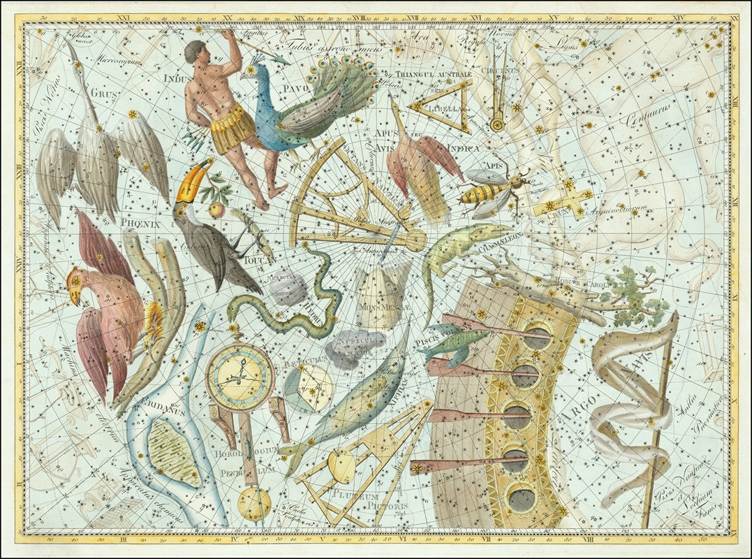 Johann Elert Bode - 20.XX. Phoenix… Coelum Stellatum