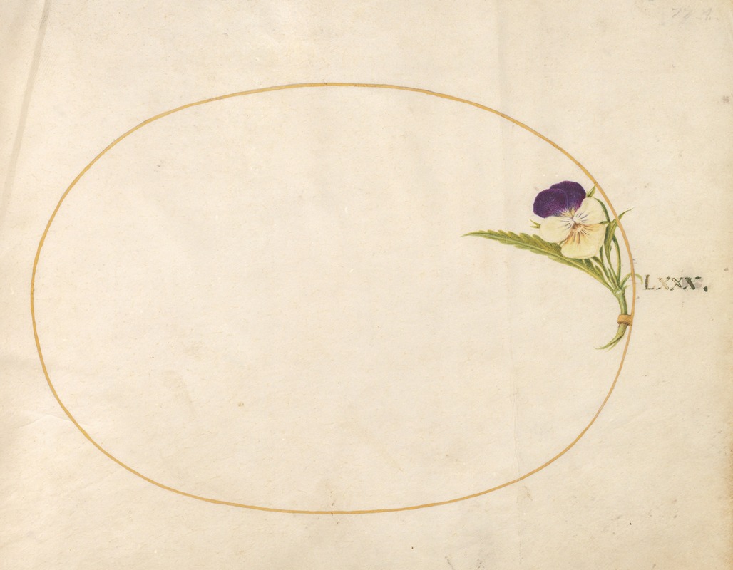 Joris Hoefnagel - Plate 80; Purple and Yellow Viola