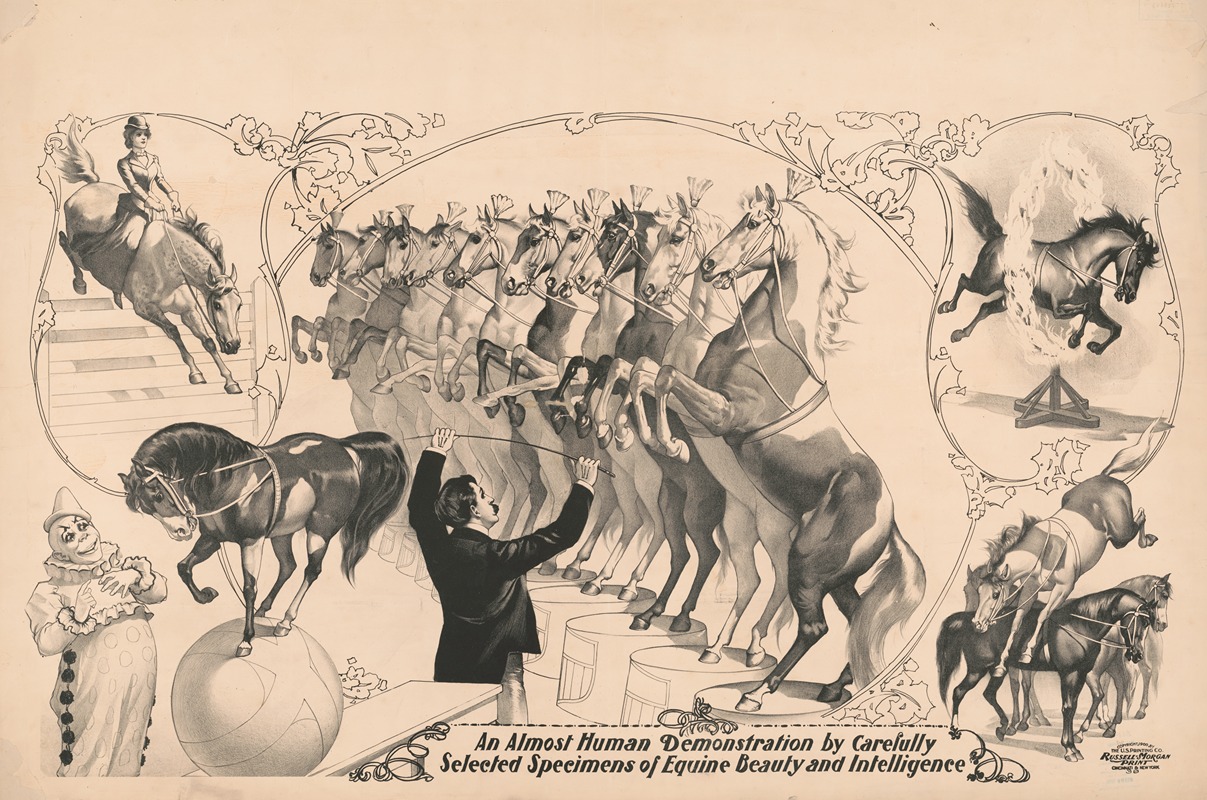 Russell, Morgan & Co. - An almost human demonstration by carefully selected specimen of equine beauty and intelligence