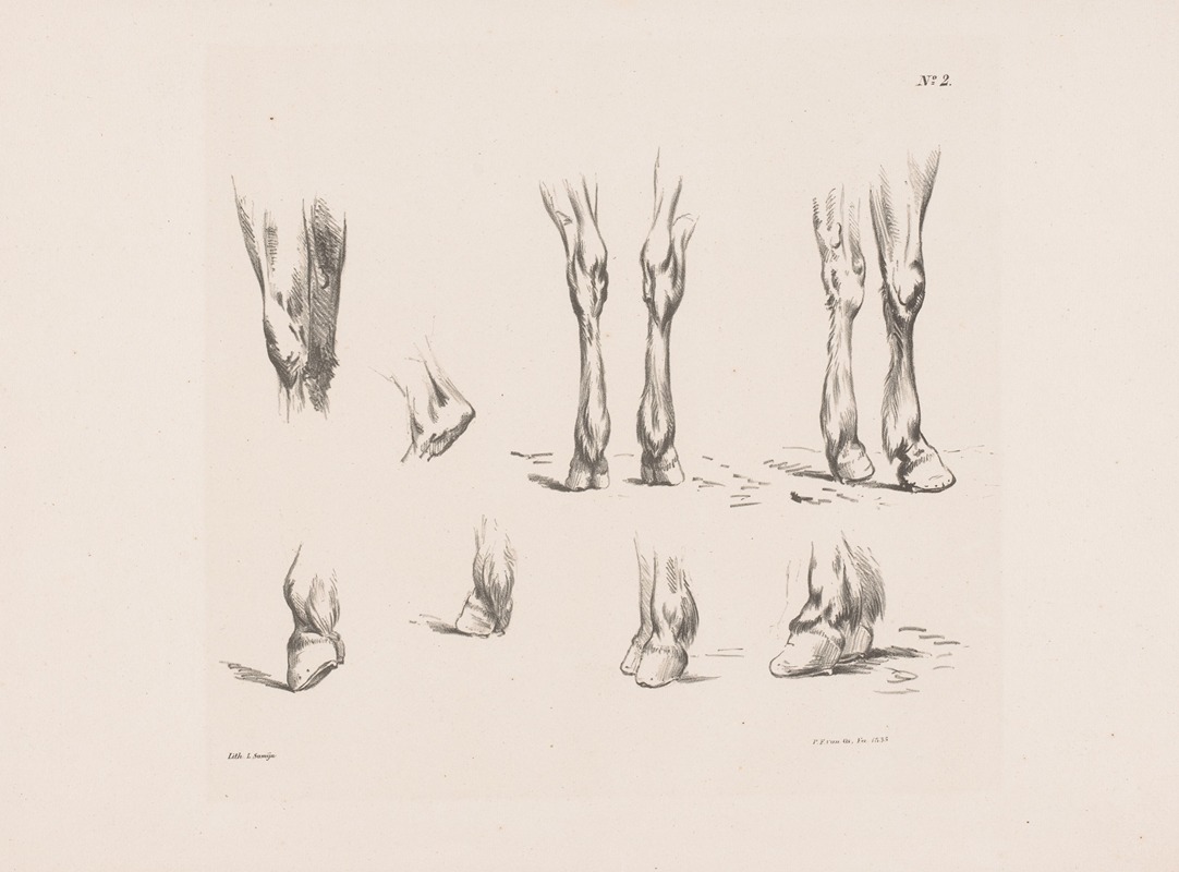 Pieter Frederik van Os - Acht studies van paardenbenen en -hoeven