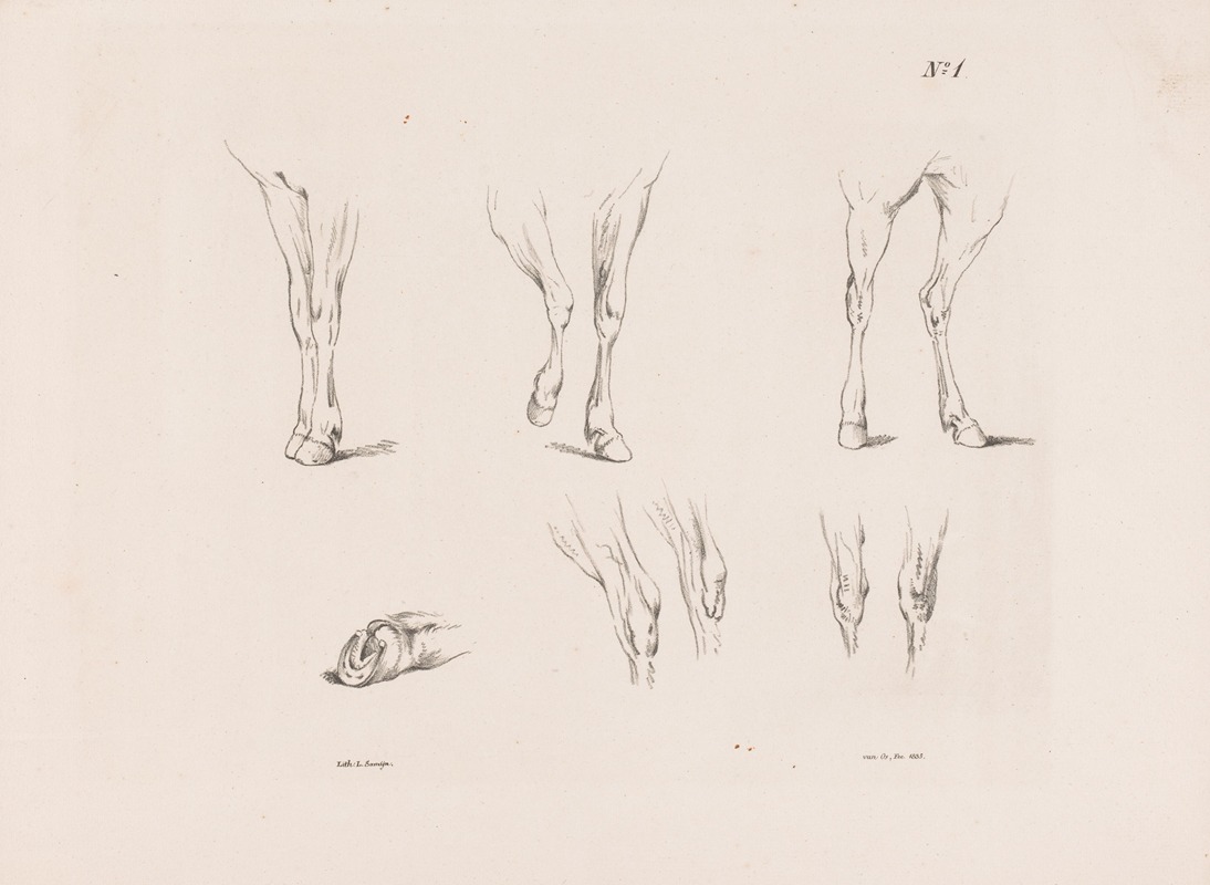 Pieter Frederik van Os - Zes studies van paardenbenen