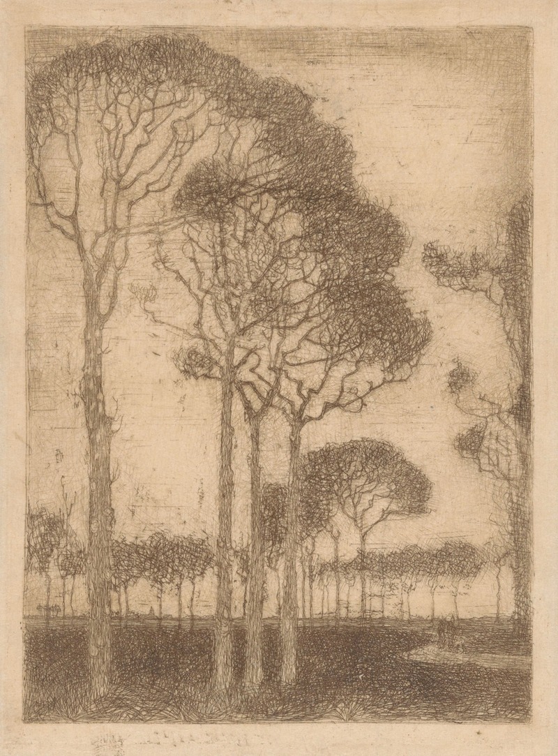 Jan Mankes - Bomen aan de rand van het Oranjewoud