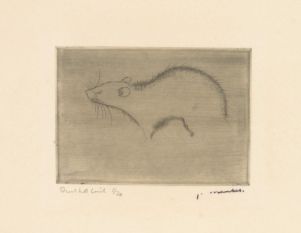 Jan Mankes - Rat