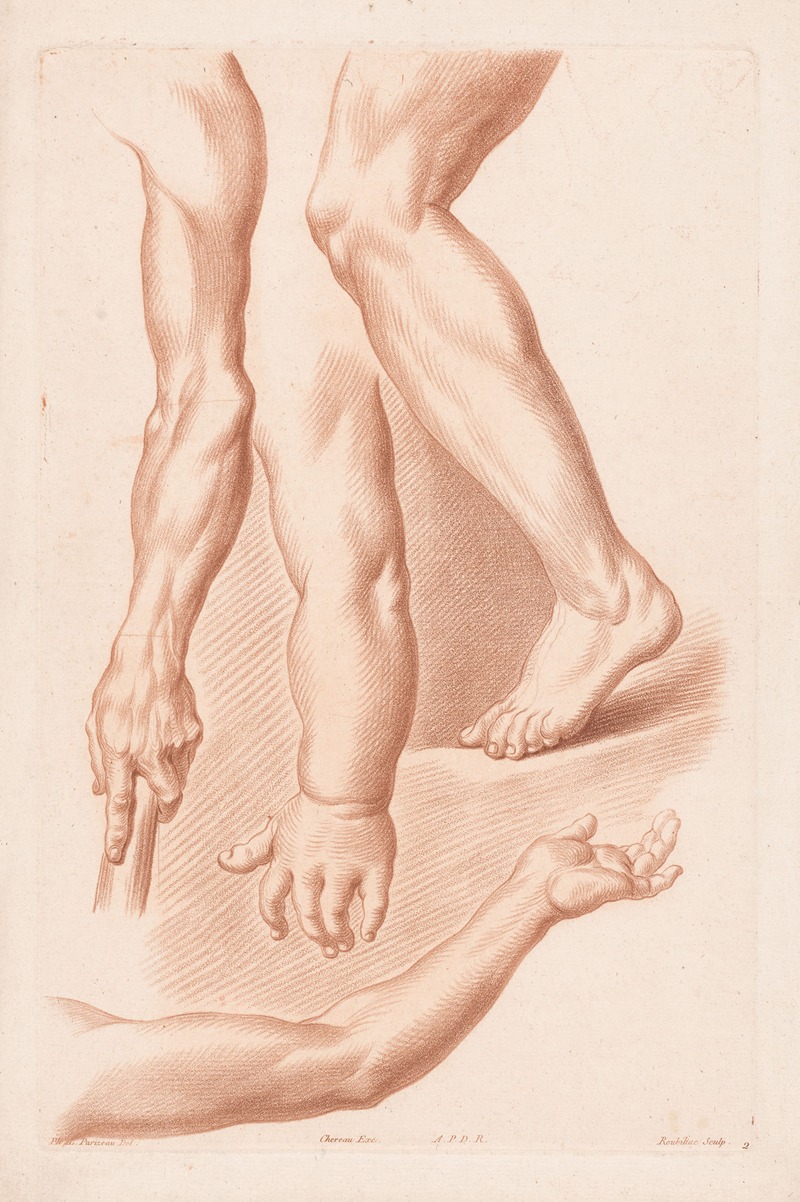 Louis-François Roubiliac - Different views of a leg and three arms