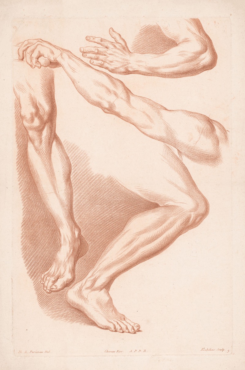 Louis-François Roubiliac - Different views of two legs and two arms