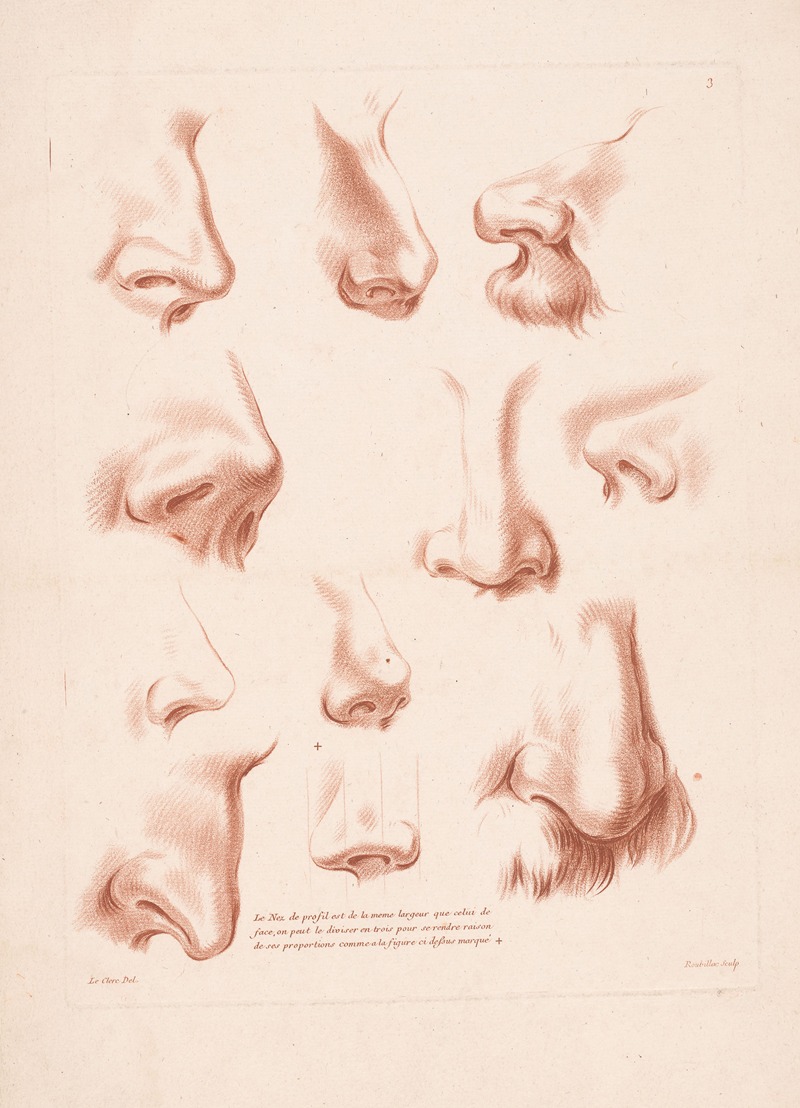 Louis-François Roubiliac - Eleven noses from different perspectives